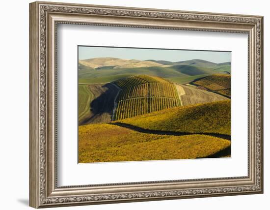 Washington State, Walla Walla. Spring Valley and Vineyards-Richard Duval-Framed Photographic Print