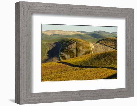 Washington State, Walla Walla. Spring Valley and Vineyards-Richard Duval-Framed Photographic Print