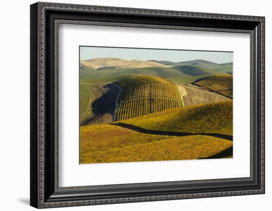 Washington State, Walla Walla. Spring Valley and Vineyards-Richard Duval-Framed Photographic Print