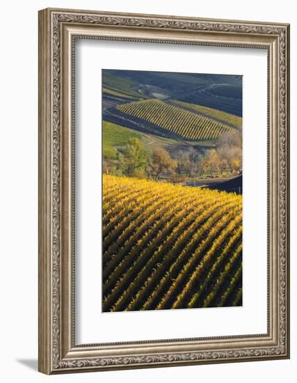 Washington State, Walla Walla. Spring Valley and Vineyards-Richard Duval-Framed Photographic Print