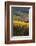 Washington State, Walla Walla. Spring Valley and Vineyards-Richard Duval-Framed Photographic Print