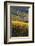 Washington State, Walla Walla. Spring Valley and Vineyards-Richard Duval-Framed Photographic Print