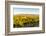 Washington State, Walla Walla. the Blue Mountains Overlook-Richard Duval-Framed Photographic Print