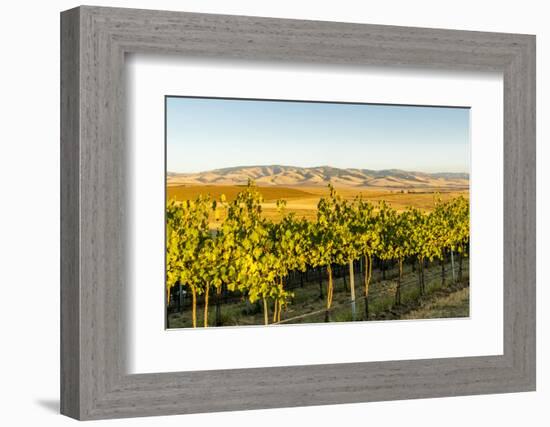 Washington State, Walla Walla. the Blue Mountains Overlook-Richard Duval-Framed Photographic Print