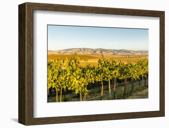 Washington State, Walla Walla. the Blue Mountains Overlook-Richard Duval-Framed Photographic Print