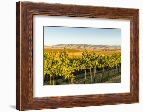 Washington State, Walla Walla. the Blue Mountains Overlook-Richard Duval-Framed Photographic Print