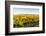 Washington State, Walla Walla. the Blue Mountains Overlook-Richard Duval-Framed Photographic Print