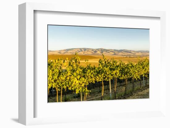 Washington State, Walla Walla. the Blue Mountains Overlook-Richard Duval-Framed Photographic Print