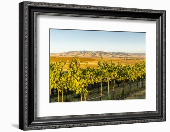 Washington State, Walla Walla. the Blue Mountains Overlook-Richard Duval-Framed Photographic Print