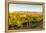 Washington State, Walla Walla. the Blue Mountains Overlook-Richard Duval-Framed Premier Image Canvas