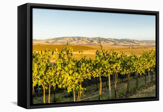 Washington State, Walla Walla. the Blue Mountains Overlook-Richard Duval-Framed Premier Image Canvas