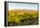 Washington State, Walla Walla. the Blue Mountains Overlook-Richard Duval-Framed Premier Image Canvas