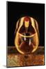 Washington State, Walla Walla. the Illusion of a Bottle Inside a Glass in a Walla Walla Winery-Richard Duval-Mounted Photographic Print