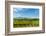 Washington State, Walla Walla. Vineyard in Walla Walla-Richard Duval-Framed Photographic Print