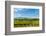 Washington State, Walla Walla. Vineyard in Walla Walla-Richard Duval-Framed Photographic Print