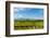 Washington State, Walla Walla. Vineyard in Walla Walla-Richard Duval-Framed Photographic Print