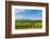 Washington State, Walla Walla. Vineyard in Walla Walla-Richard Duval-Framed Photographic Print