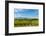 Washington State, Walla Walla. Vineyard in Walla Walla-Richard Duval-Framed Photographic Print