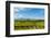 Washington State, Walla Walla. Vineyard in Walla Walla-Richard Duval-Framed Photographic Print