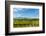 Washington State, Walla Walla. Vineyard in Walla Walla-Richard Duval-Framed Photographic Print