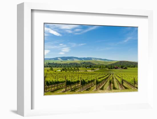 Washington State, Walla Walla. Vineyard in Walla Walla-Richard Duval-Framed Photographic Print