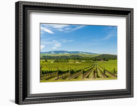 Washington State, Walla Walla. Vineyard in Walla Walla-Richard Duval-Framed Photographic Print