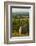 Washington State, Walla Walla. Vineyard Overlooking the Valley-Richard Duval-Framed Photographic Print