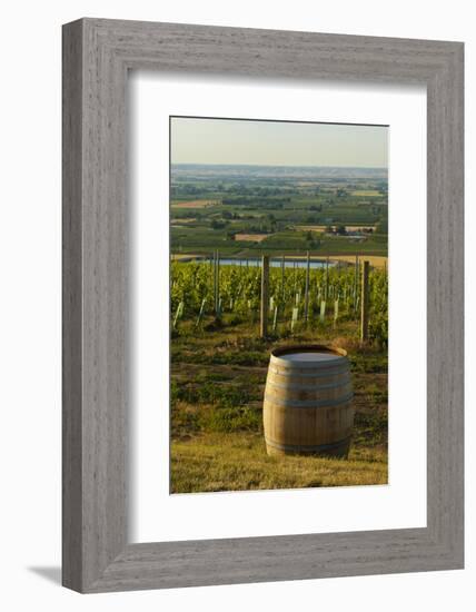 Washington State, Walla Walla. Vineyard Overlooking the Valley-Richard Duval-Framed Photographic Print