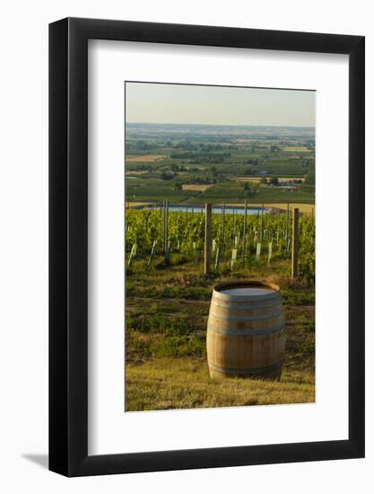 Washington State, Walla Walla. Vineyard Overlooking the Valley-Richard Duval-Framed Photographic Print