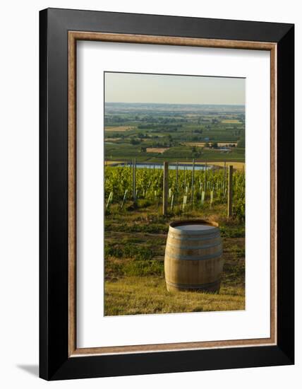 Washington State, Walla Walla. Vineyard Overlooking the Valley-Richard Duval-Framed Photographic Print