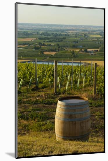 Washington State, Walla Walla. Vineyard Overlooking the Valley-Richard Duval-Mounted Photographic Print