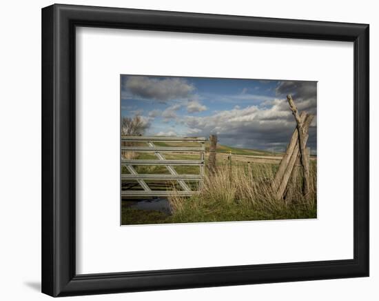 Washington State, Whitman County, Palouse, Lacrosse, Pioneer Stock Farm-Alison Jones-Framed Photographic Print