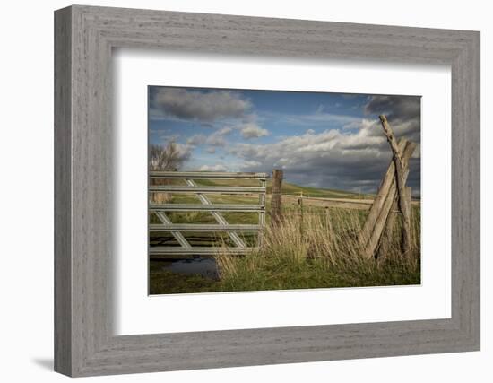 Washington State, Whitman County, Palouse, Lacrosse, Pioneer Stock Farm-Alison Jones-Framed Photographic Print