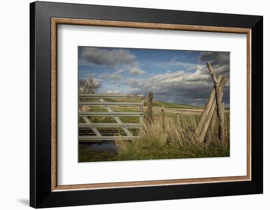 Washington State, Whitman County, Palouse, Lacrosse, Pioneer Stock Farm-Alison Jones-Framed Photographic Print