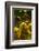 Washington State, Yakima Valley. Chardonnay Grapes-Richard Duval-Framed Photographic Print