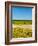 Washington State, Yakima Valley. Chardonnay Harvest in a Vineyard-Richard Duval-Framed Photographic Print