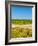 Washington State, Yakima Valley. Chardonnay Harvest in a Vineyard-Richard Duval-Framed Photographic Print