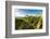 Washington State, Yakima Valley. Grenache Grapes-Richard Duval-Framed Photographic Print