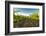 Washington State, Yakima Valley. Harvest in a Vineyard-Richard Duval-Framed Photographic Print