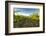 Washington State, Yakima Valley. Harvest in a Vineyard-Richard Duval-Framed Photographic Print