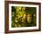 Washington State, Yakima Valley. Sauvignon Blanc Grapes-Richard Duval-Framed Photographic Print