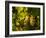 Washington State, Yakima Valley. Sauvignon Blanc Grapes-Richard Duval-Framed Photographic Print