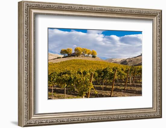 Washington State, Yakima Valley. Vineyard and Winery in Yakima Valley-Richard Duval-Framed Photographic Print