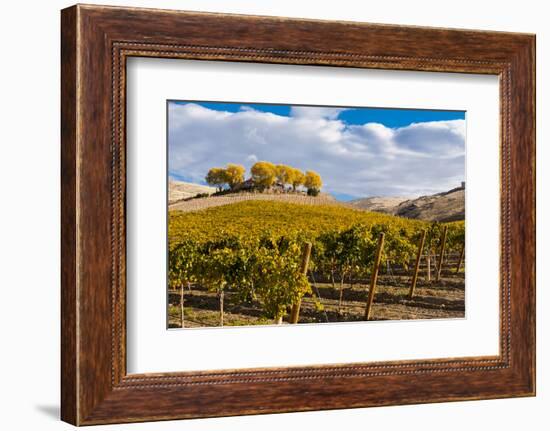 Washington State, Yakima Valley. Vineyard and Winery in Yakima Valley-Richard Duval-Framed Photographic Print