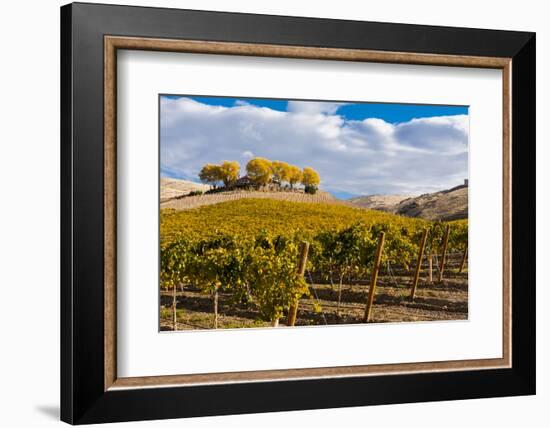 Washington State, Yakima Valley. Vineyard and Winery in Yakima Valley-Richard Duval-Framed Photographic Print