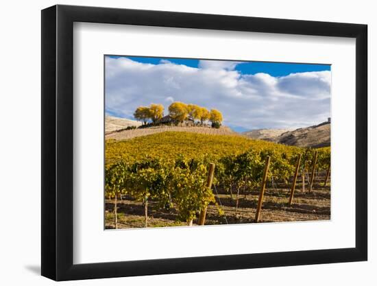 Washington State, Yakima Valley. Vineyard and Winery in Yakima Valley-Richard Duval-Framed Photographic Print