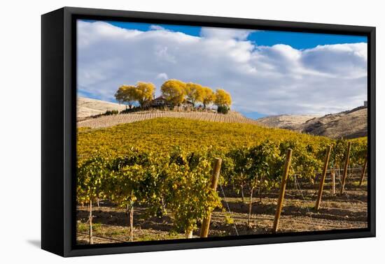 Washington State, Yakima Valley. Vineyard and Winery in Yakima Valley-Richard Duval-Framed Premier Image Canvas