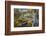 Washington, Subalpine Larch at a Tarn Near Horseshoe Lake, Alpine Lakes Wilderness-Gary Luhm-Framed Photographic Print