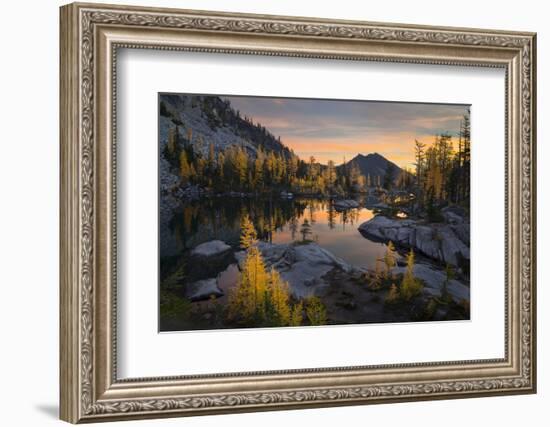 Washington, Subalpine Larch Surround Horseshoe Lake, Alpine Lakes Wilderness at Sunrise-Gary Luhm-Framed Photographic Print