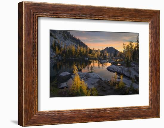 Washington, Subalpine Larch Surround Horseshoe Lake, Alpine Lakes Wilderness at Sunrise-Gary Luhm-Framed Photographic Print